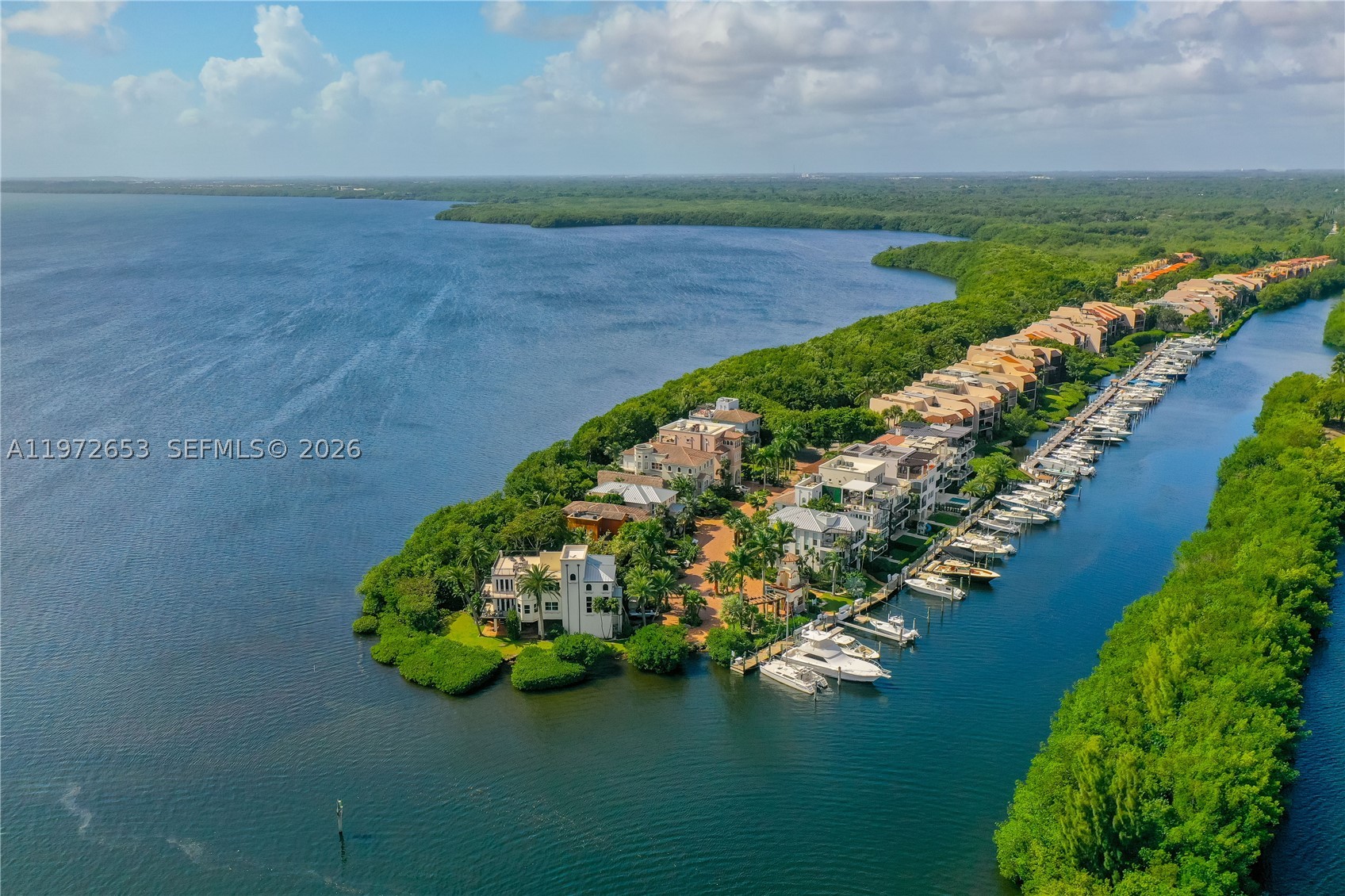Palmetto Bay photo 2
