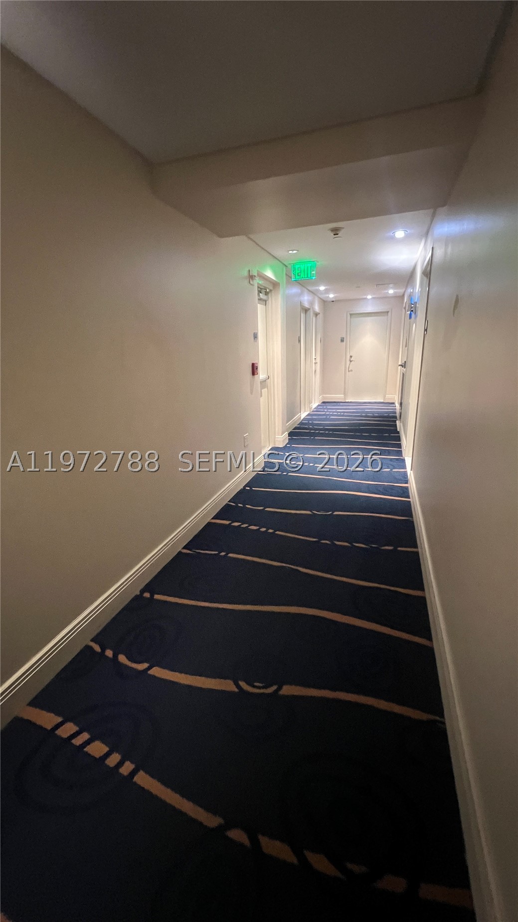 Miami photo 5