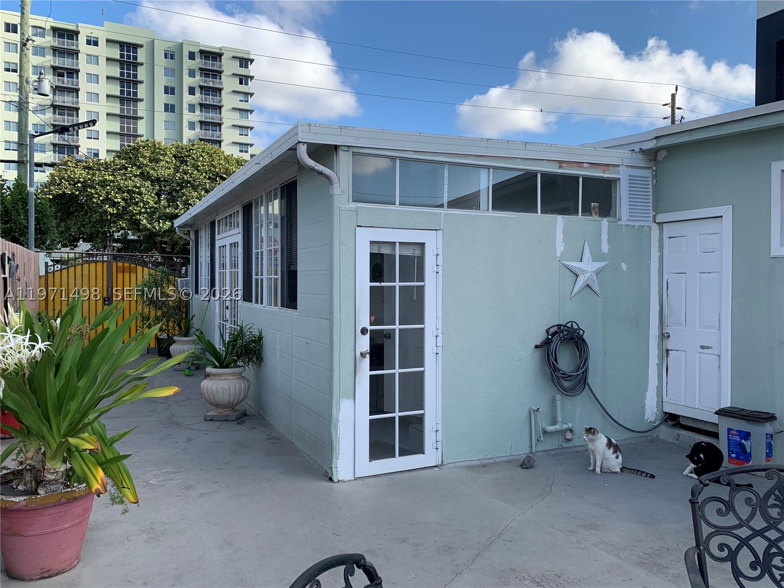 Miami photo 5