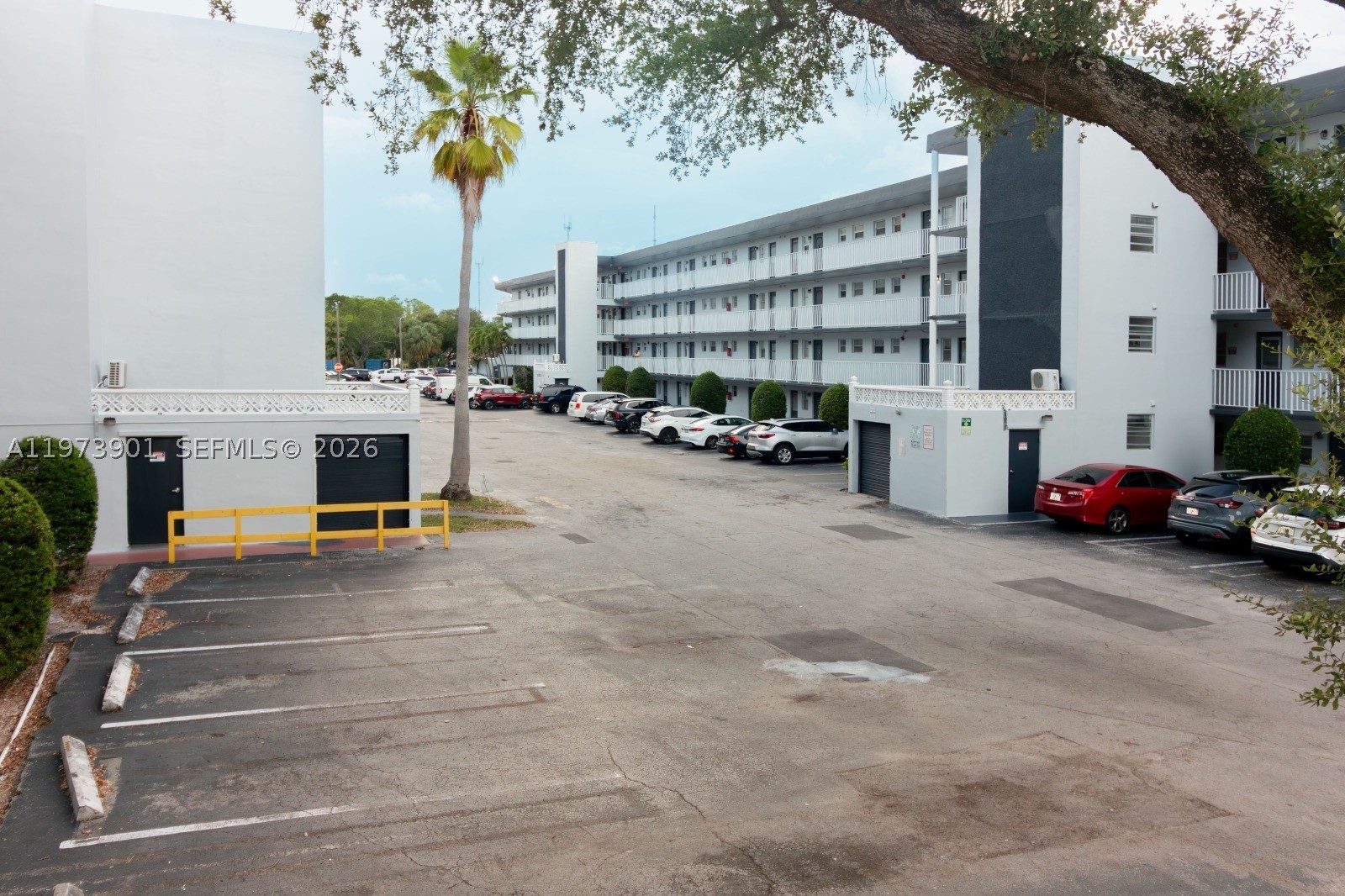 Miami photo 4
