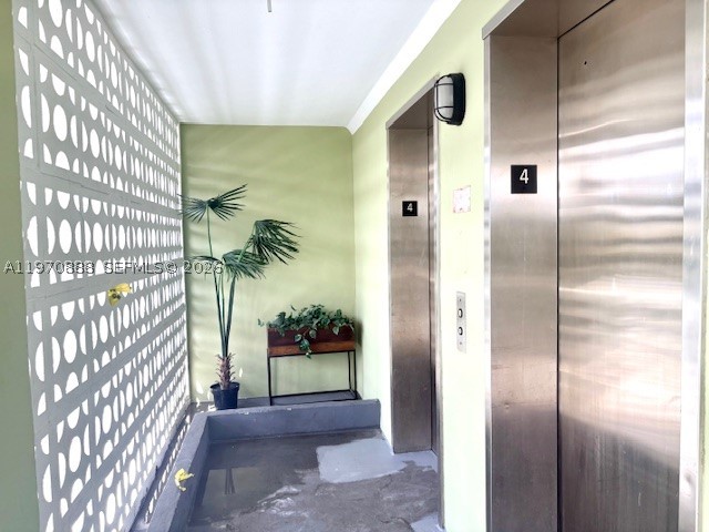 Hollywood photo 2