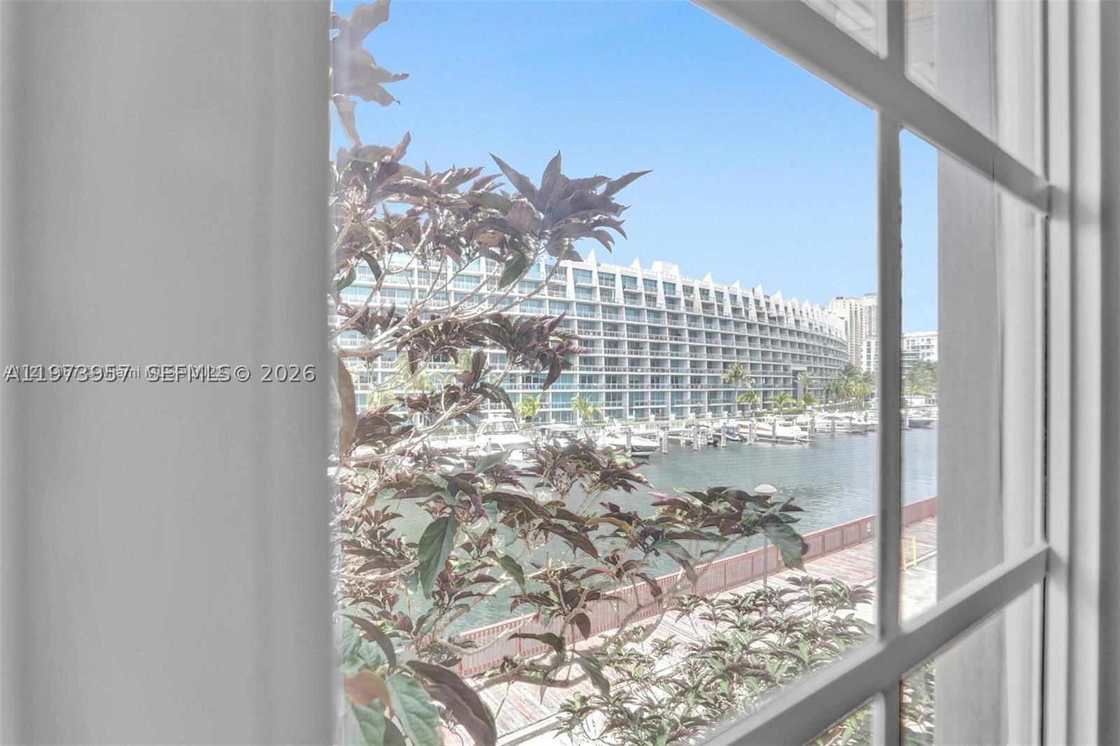 Aventura photo 4