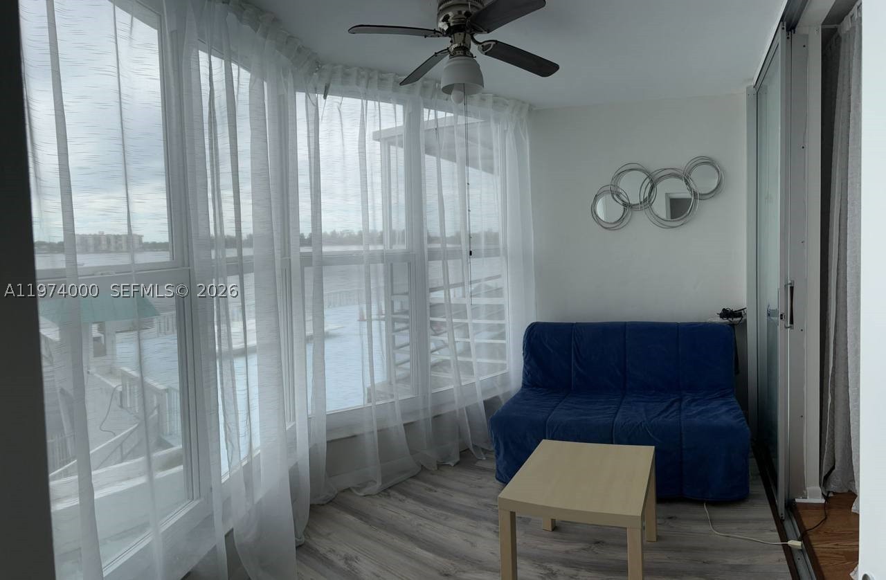 Miami photo 4