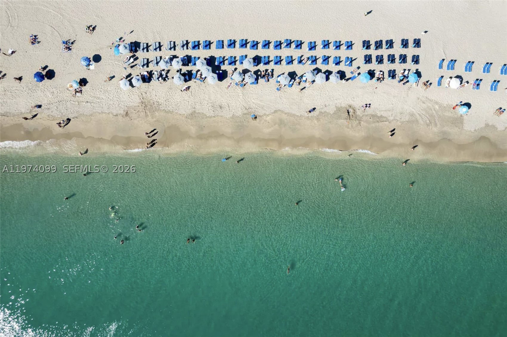 Hallandale Beach photo 5