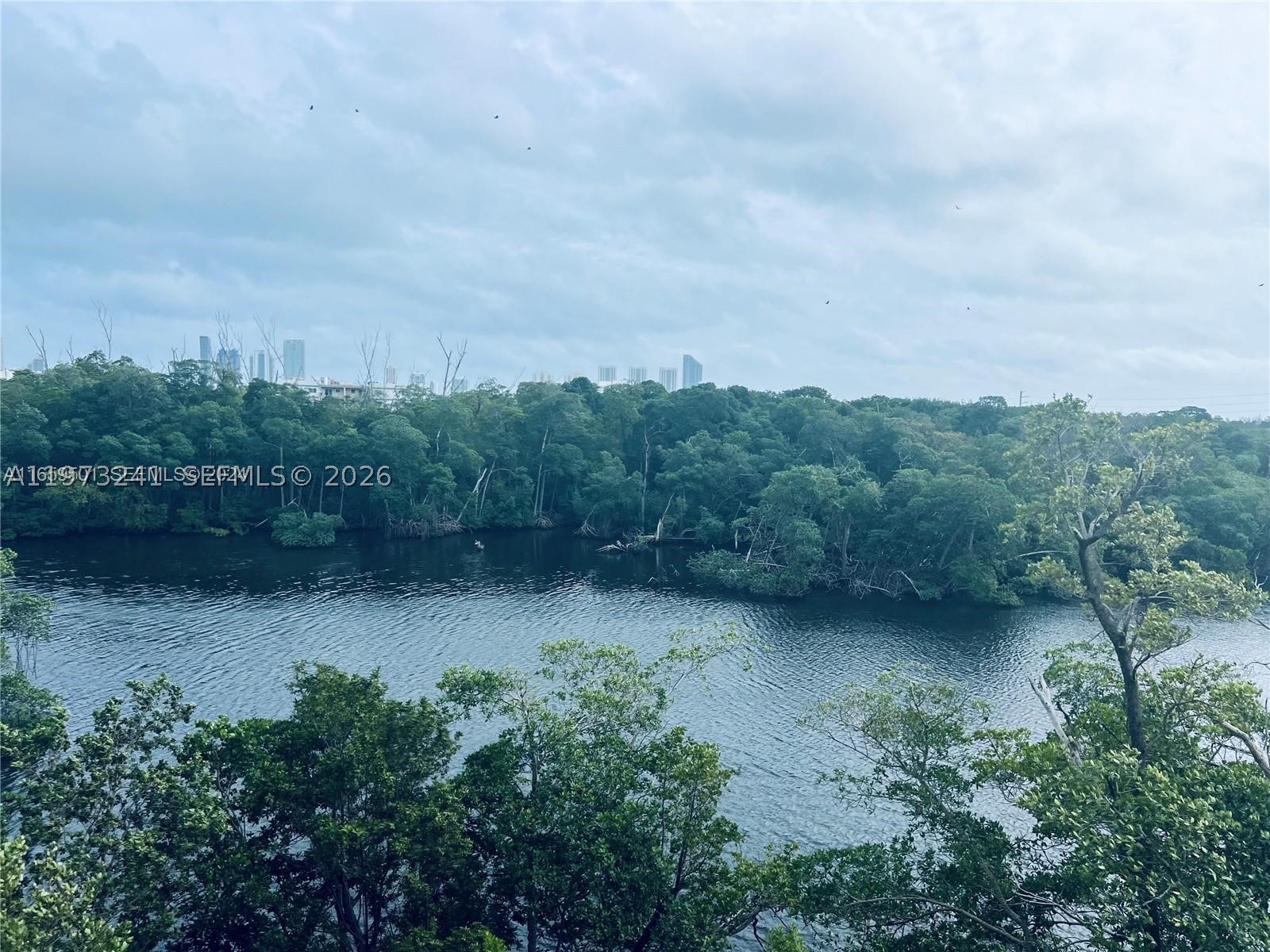 North Miami Beach photo 4