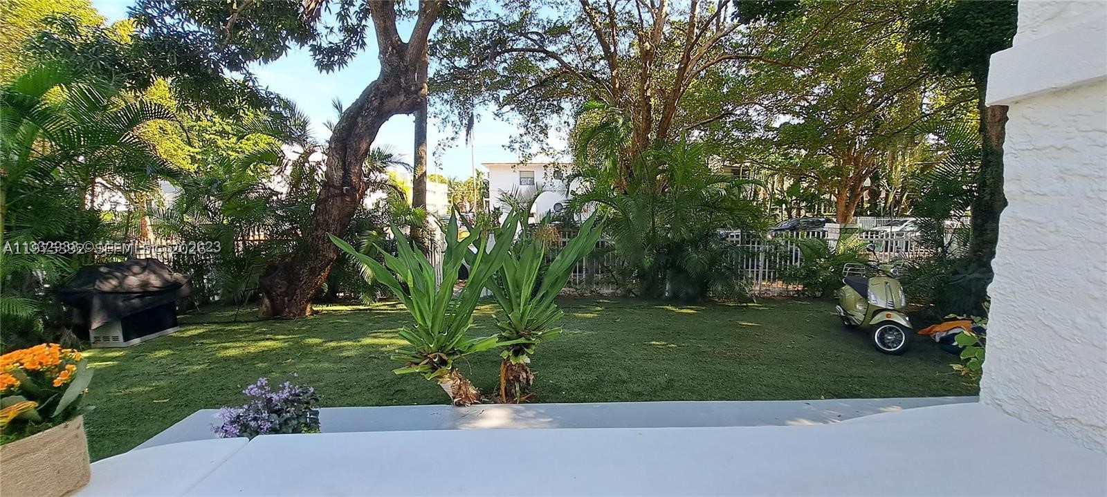 Miami Beach photo 4