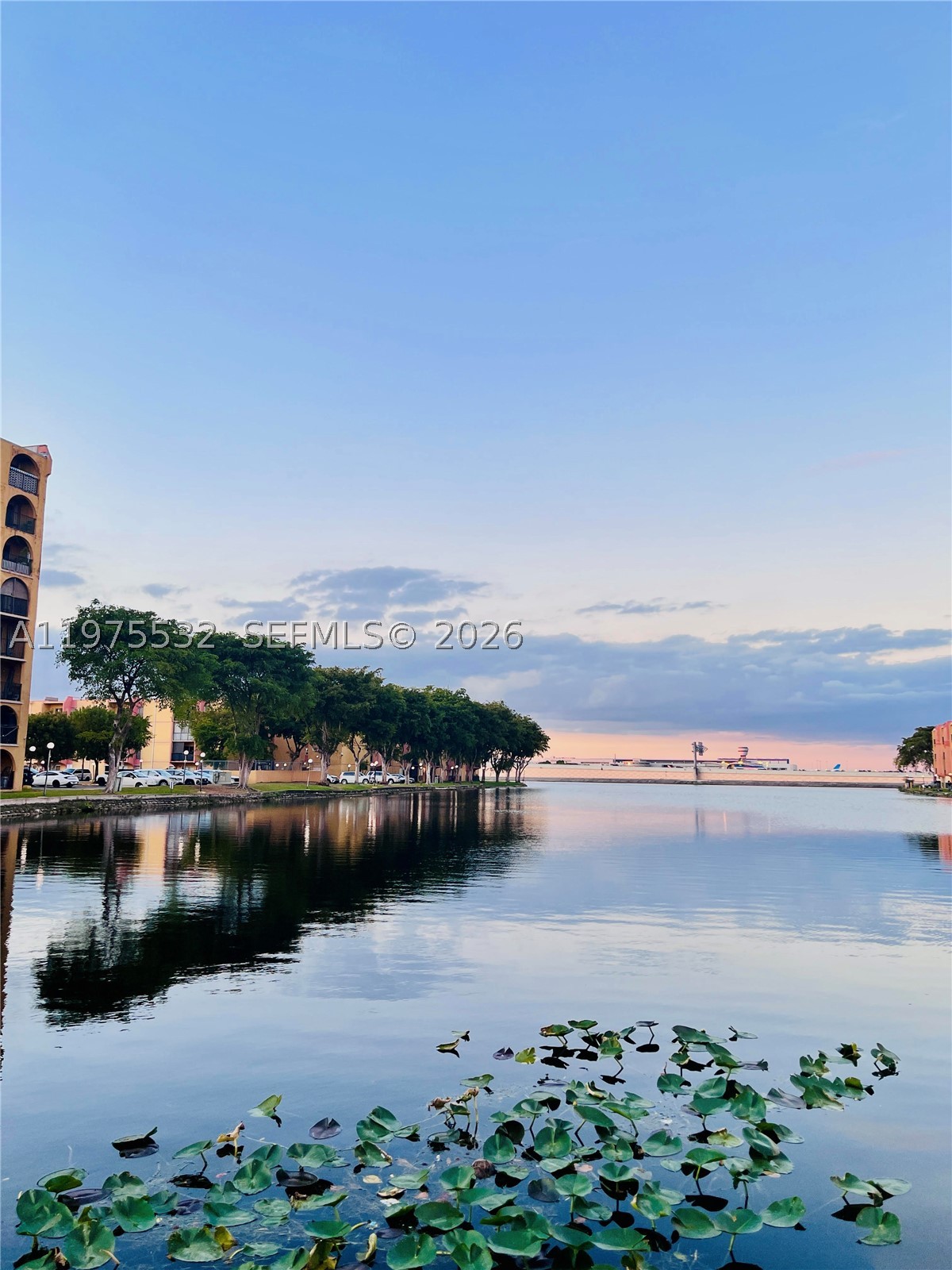 Miami photo 1