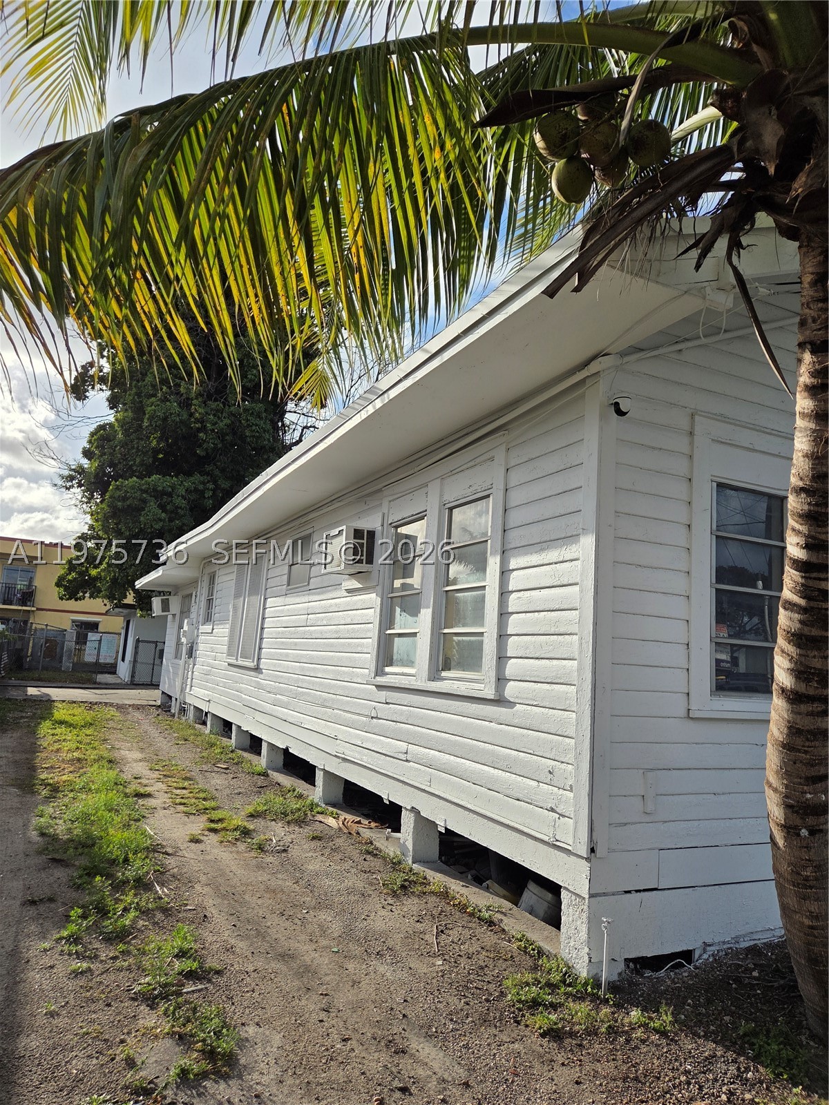 Miami photo 3