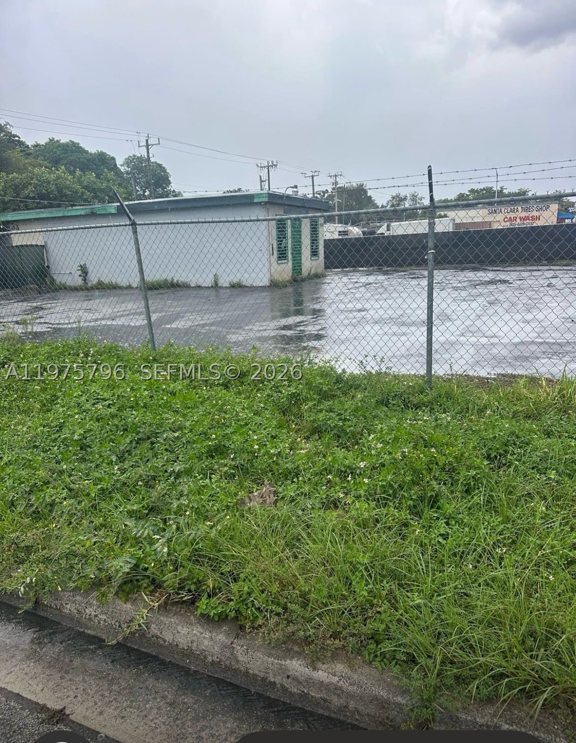 Miami photo 3