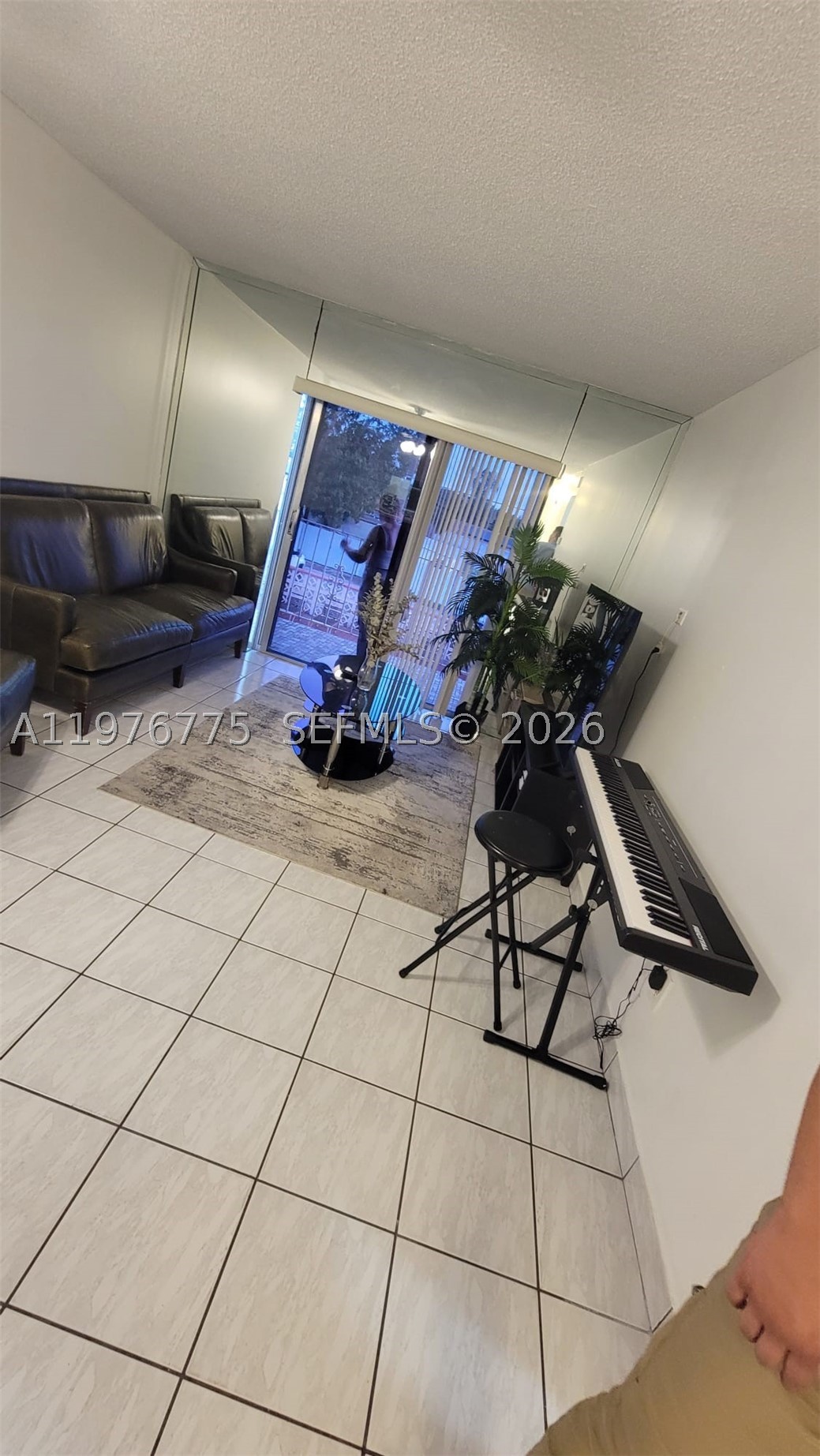 Miami photo 4