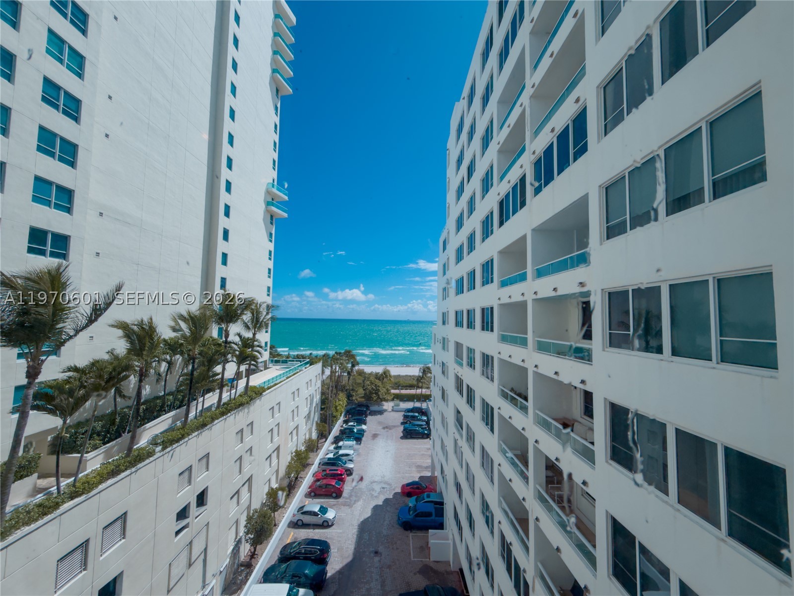 Miami Beach photo 3