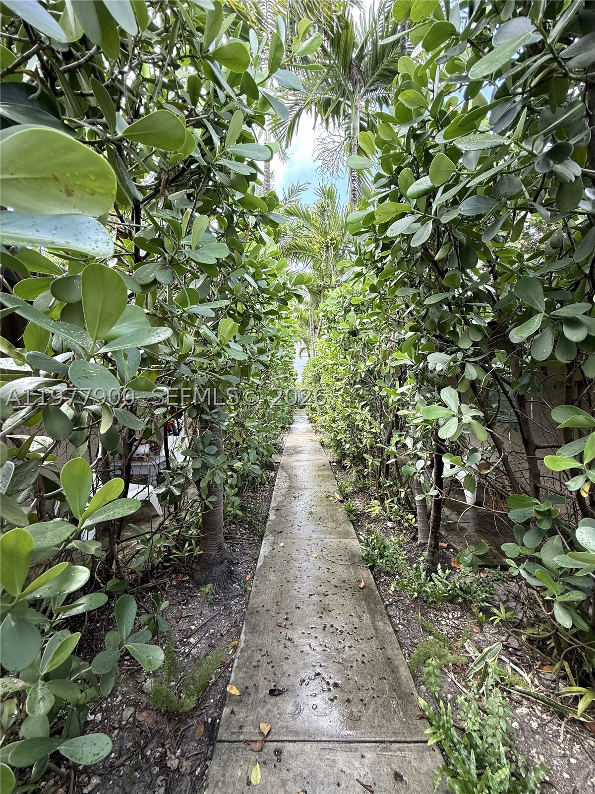 Miami photo 5
