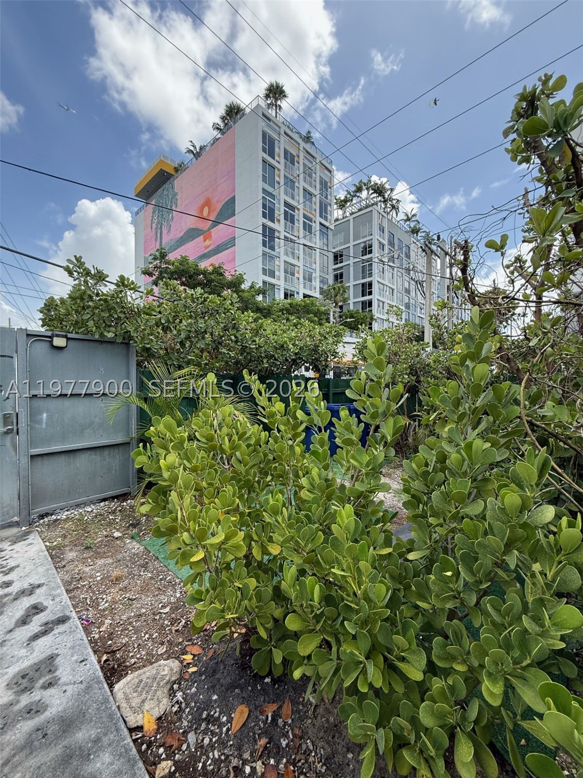 Miami photo 3