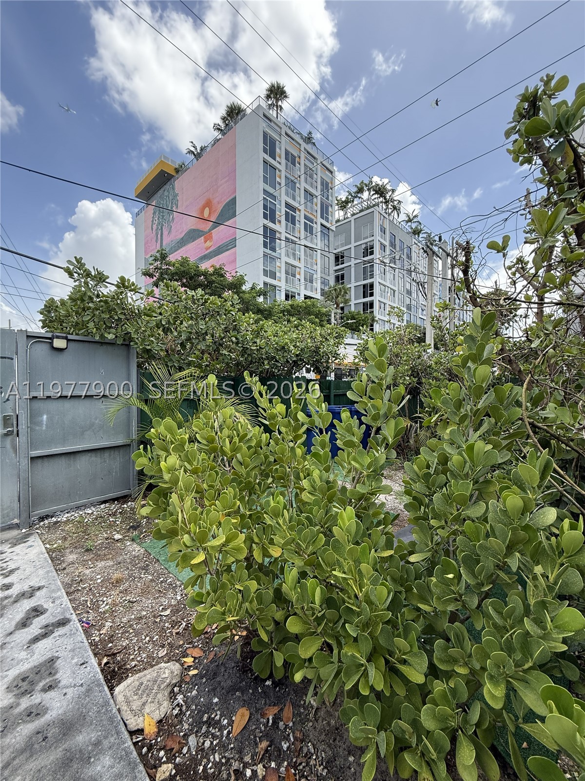 Miami photo 4