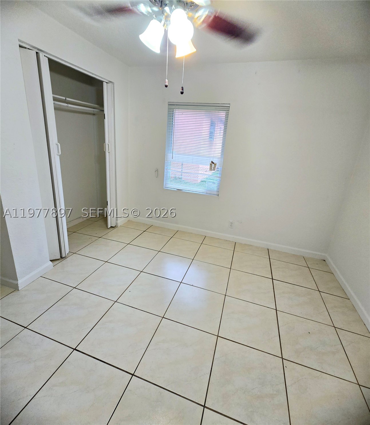 Miami photo 2