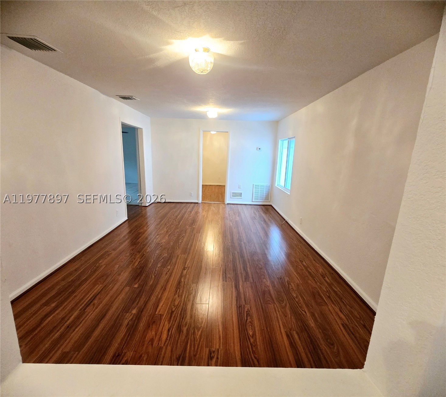 Miami photo 3