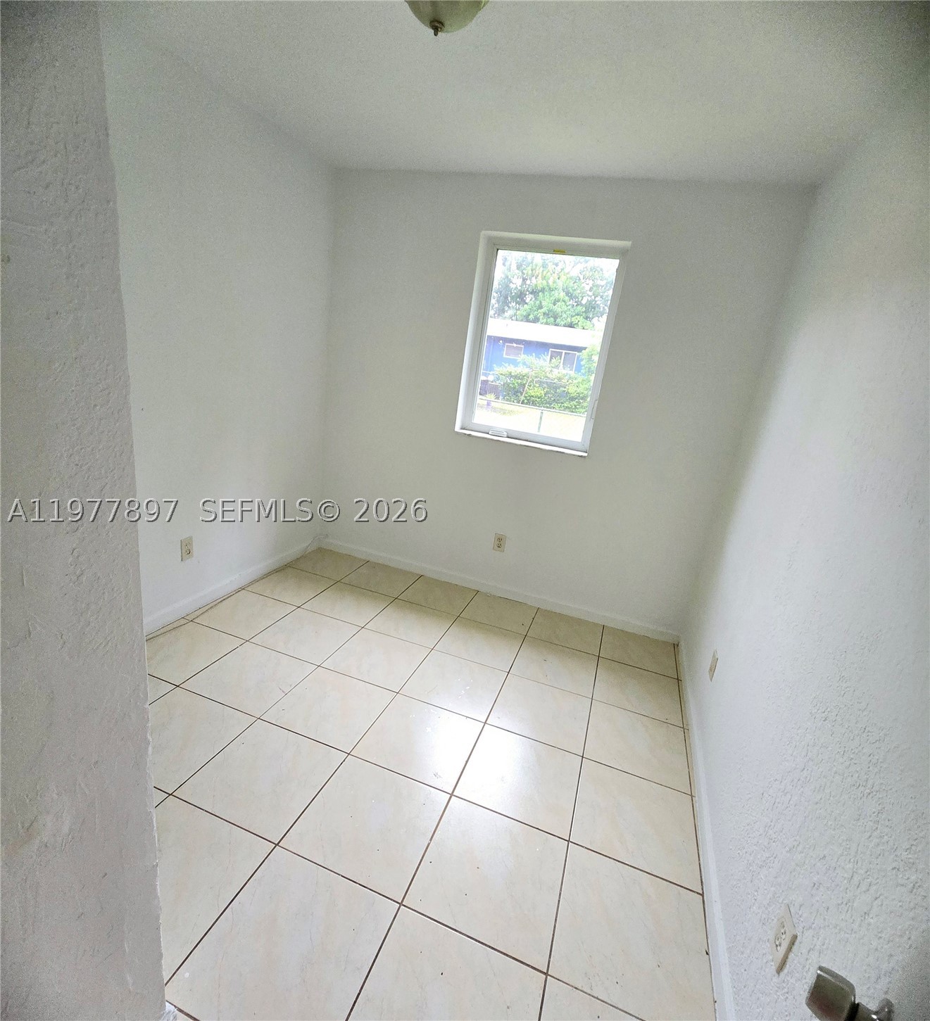 Miami photo 5