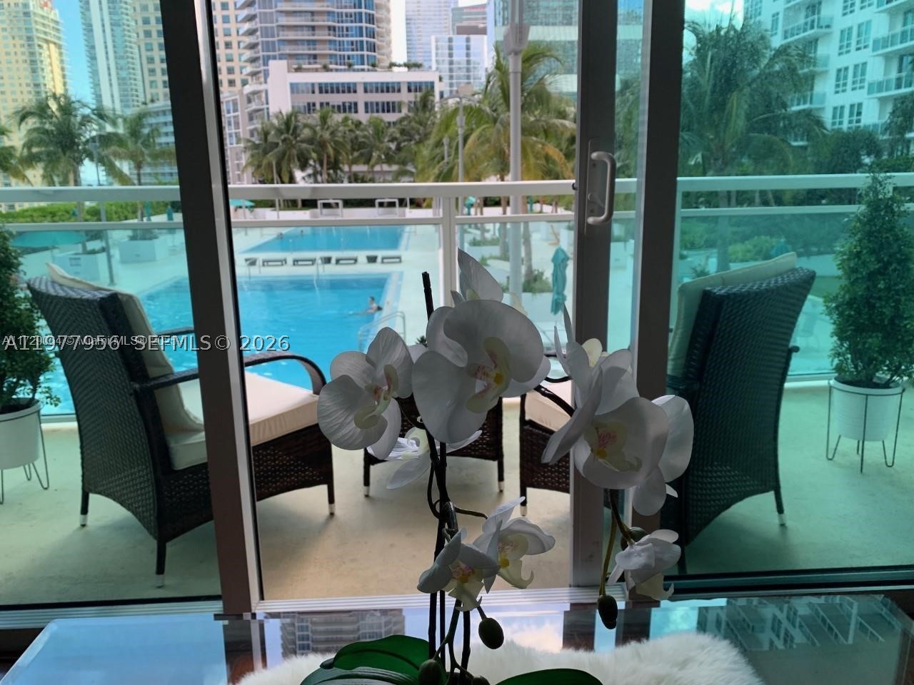 Miami photo 4
