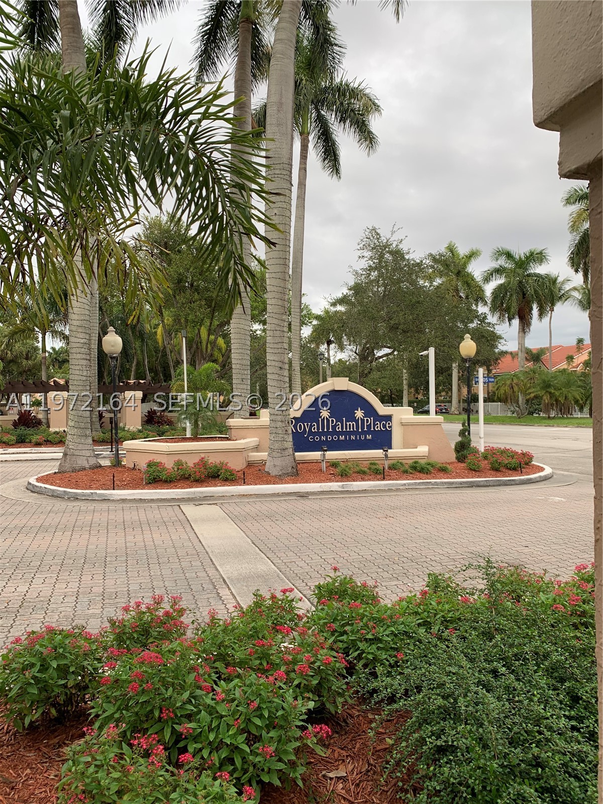 Miami photo 2