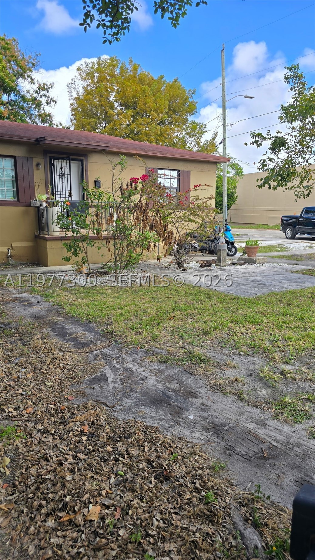 Miami photo 2