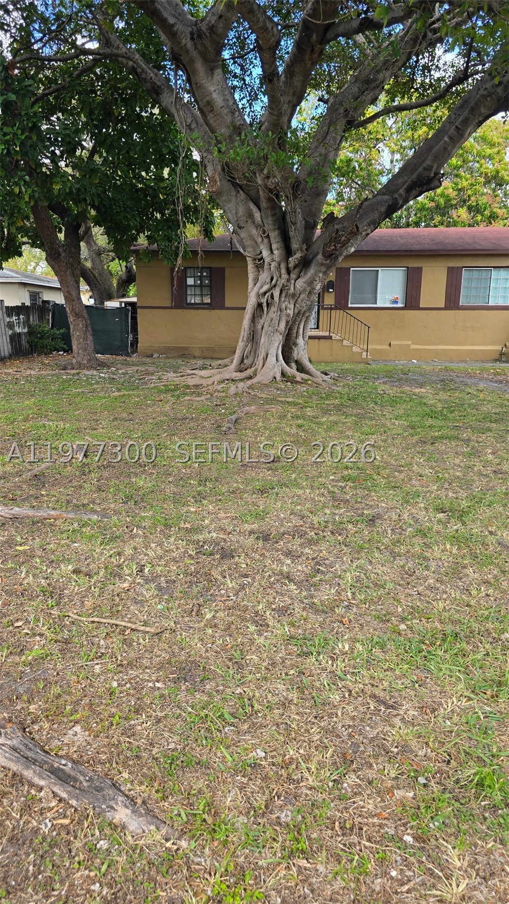 Miami photo 3