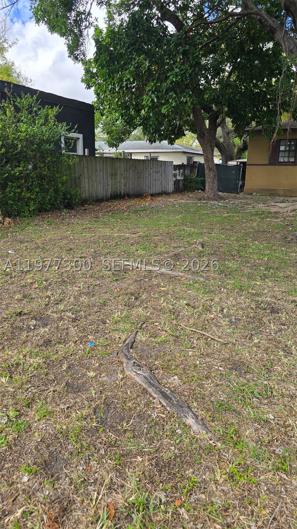 Miami photo 4