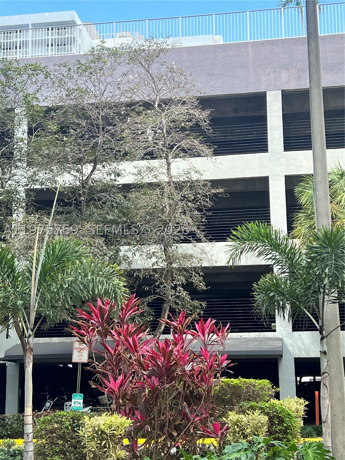 Miami photo 2