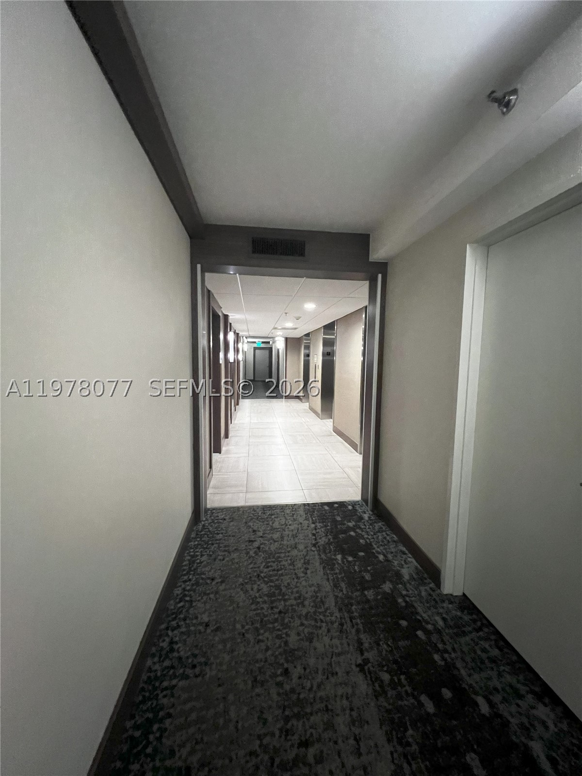 Aventura photo 5