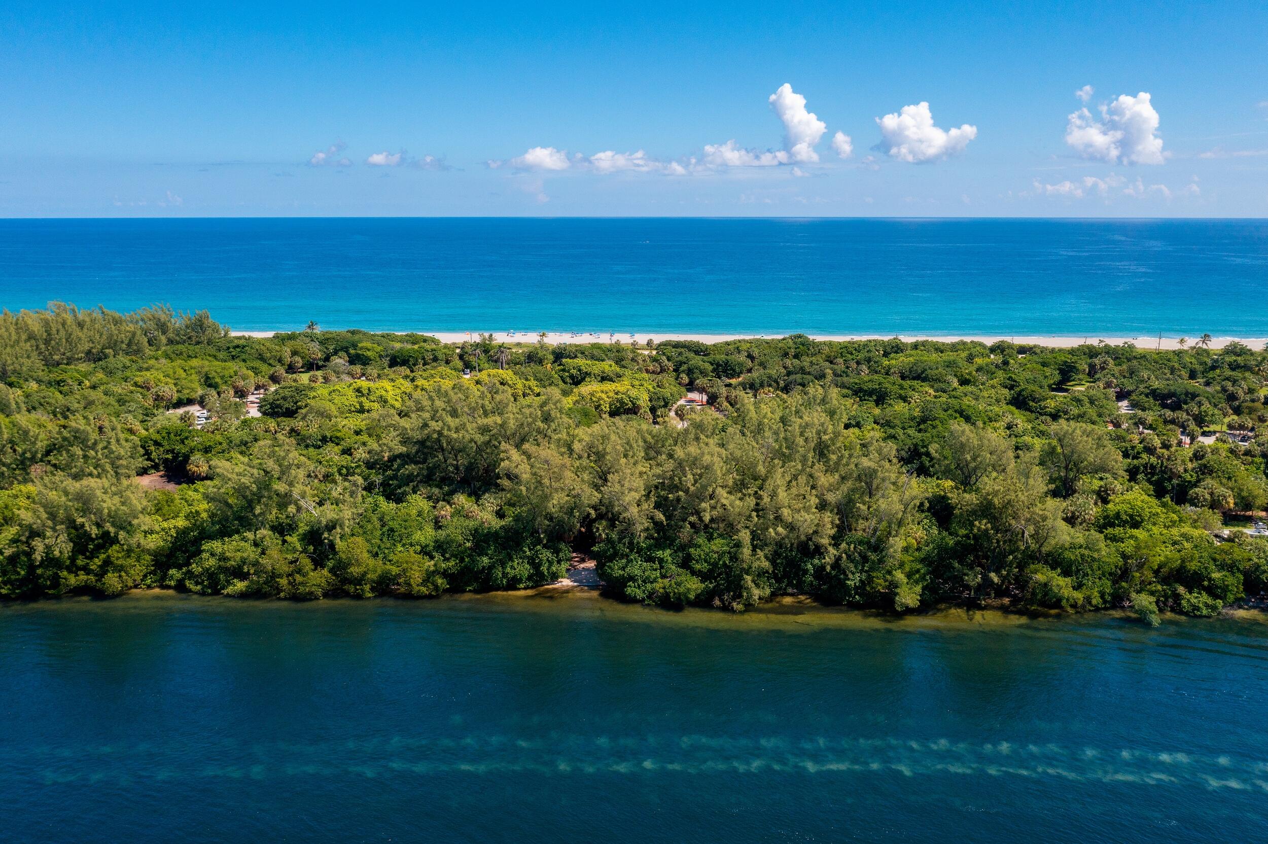Boca Raton photo 4