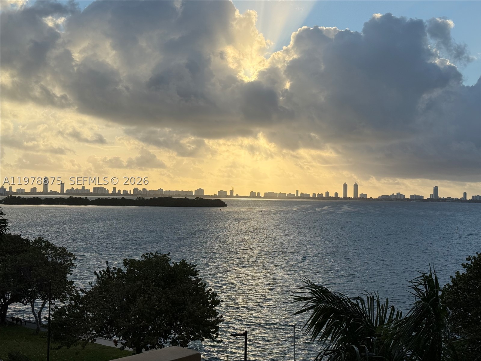Miami photo 3