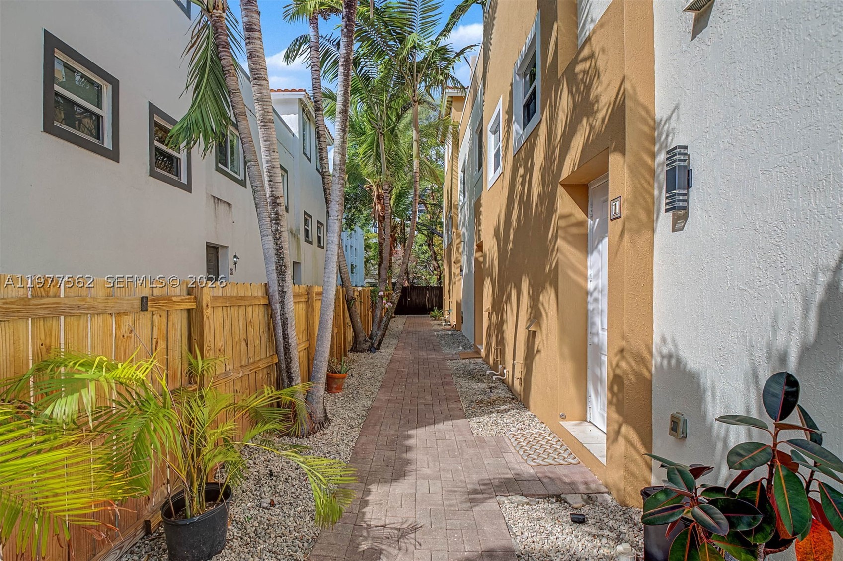 Miami photo 3