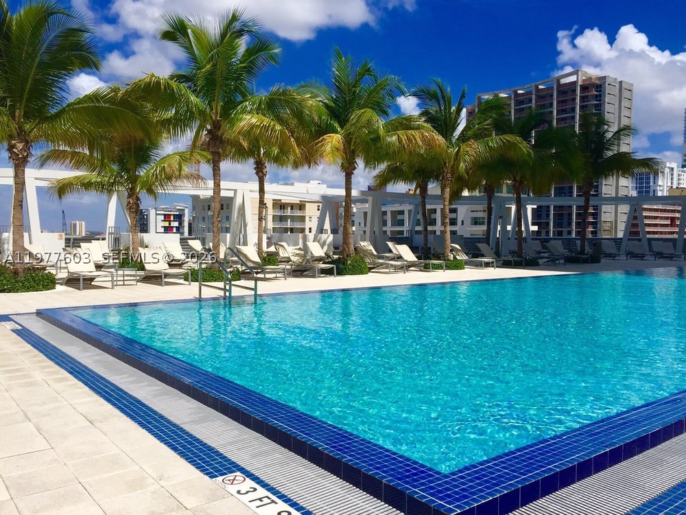 Miami photo 5