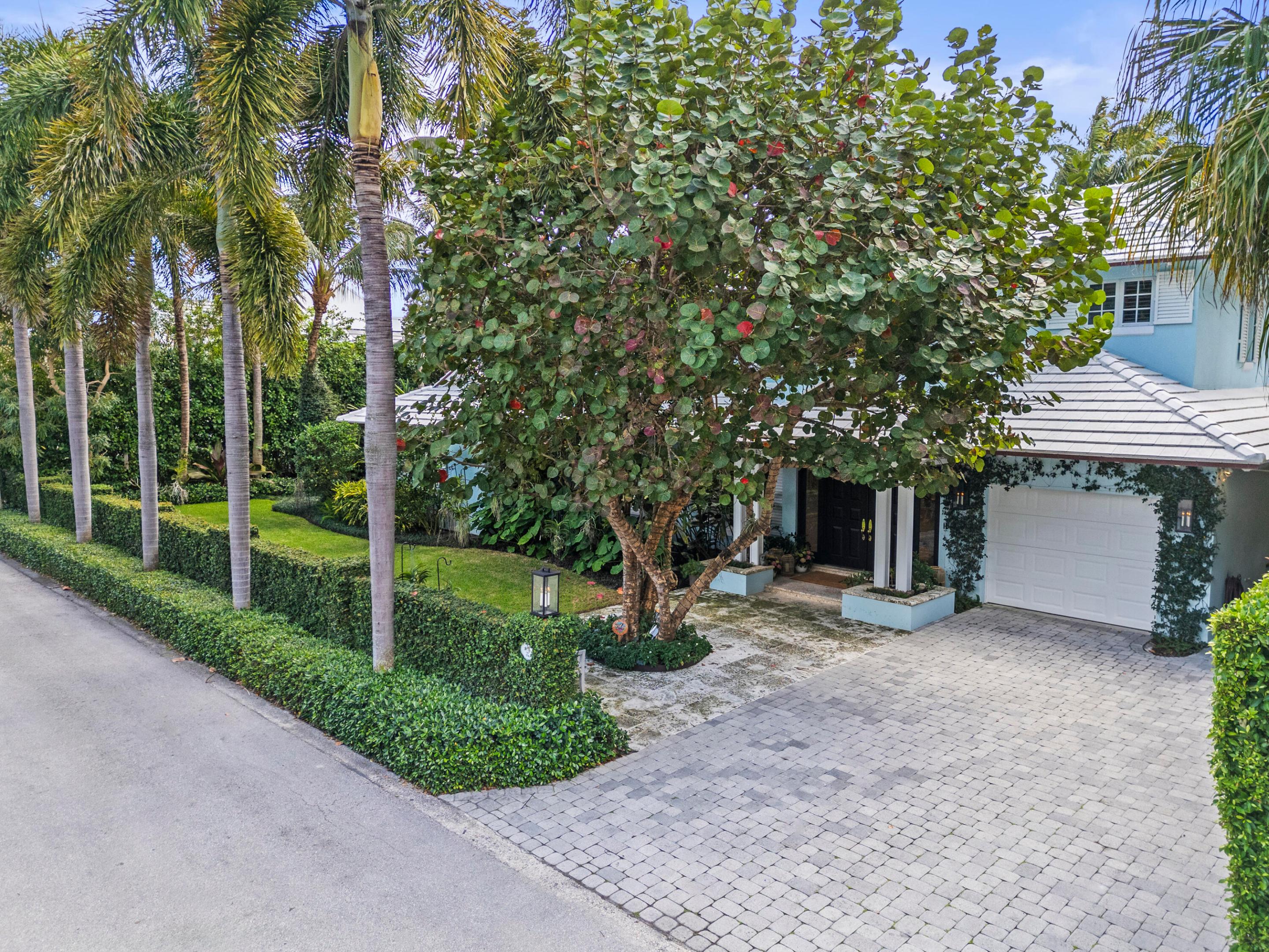 Palm Beach photo 3