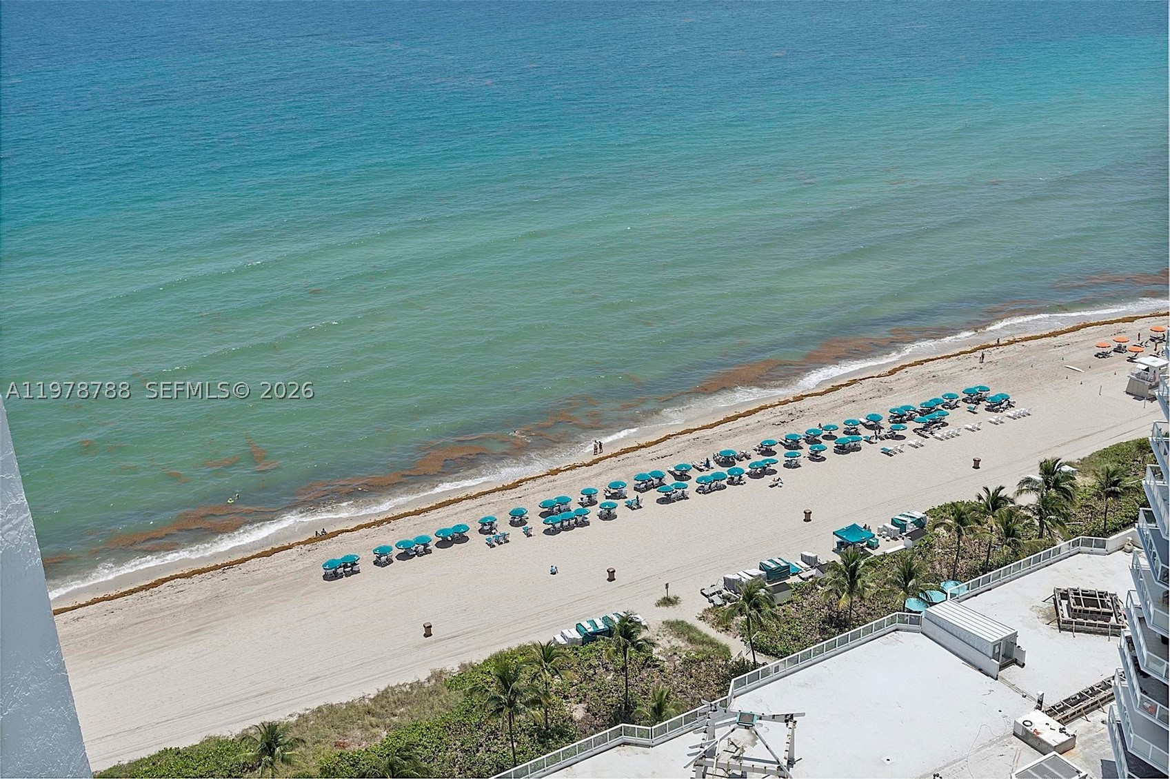 Sunny Isles Beach photo 3