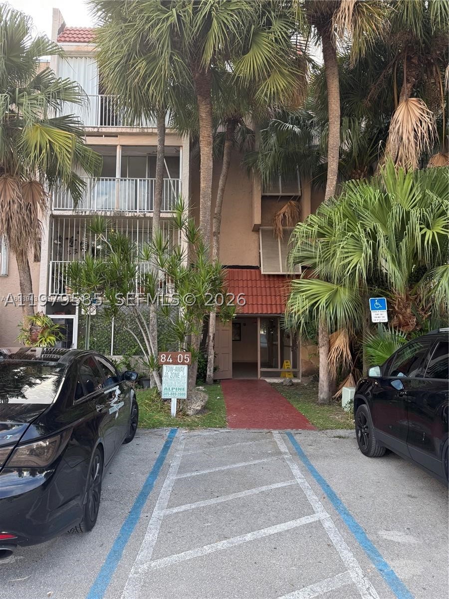 Miami photo 4