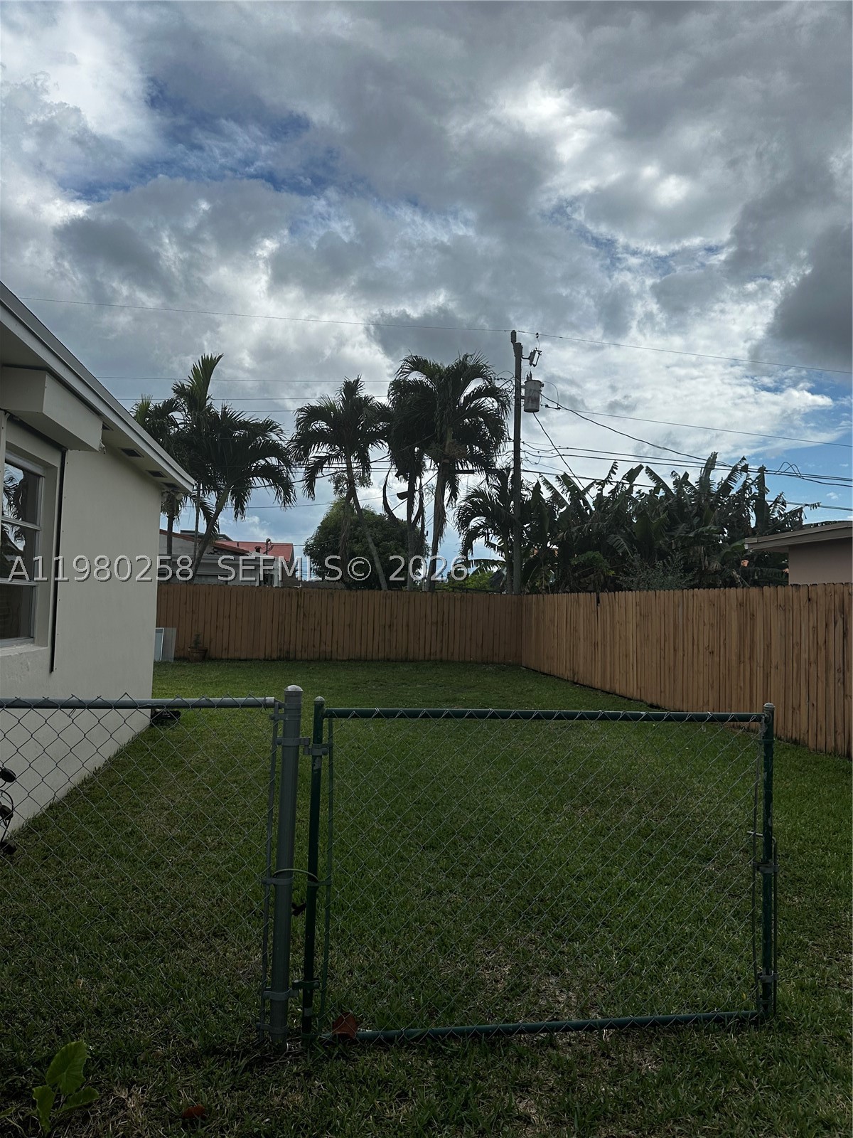 Miami photo 3
