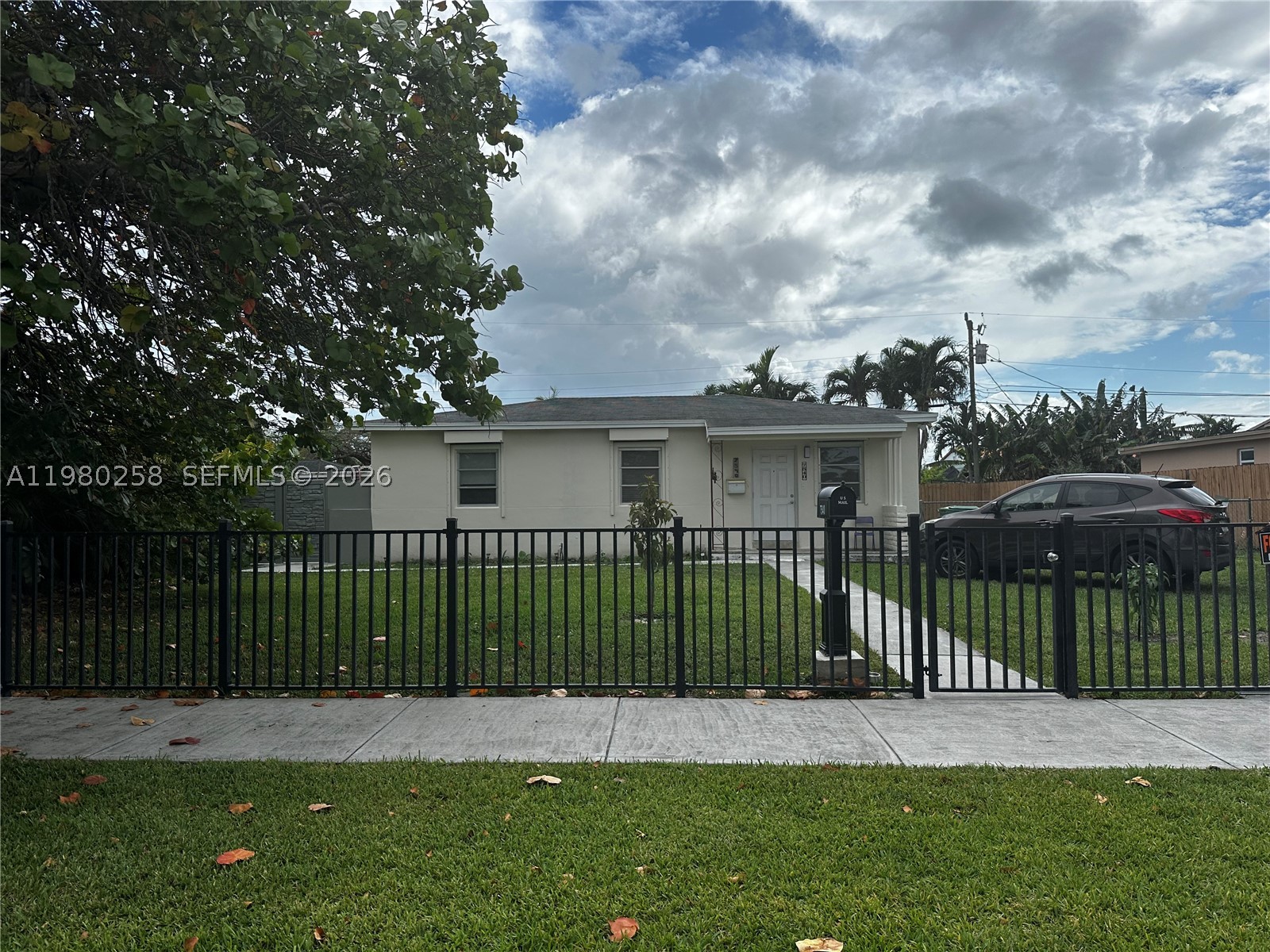 Miami photo 4