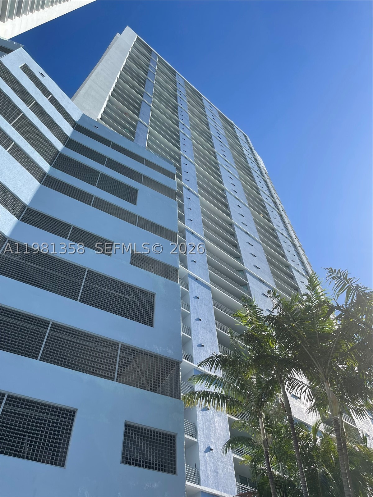 Miami photo 1