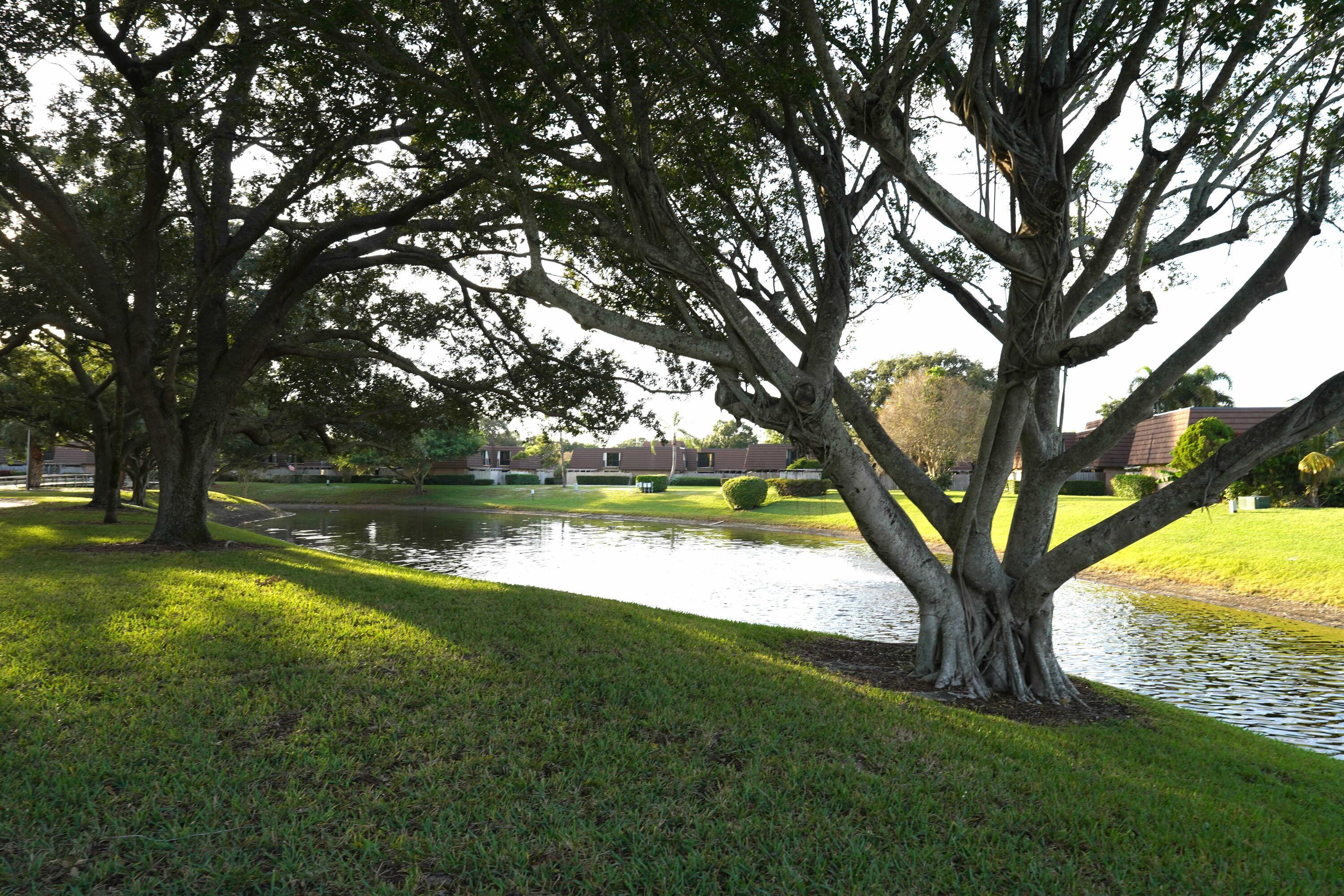 Palm Beach Gardens photo 2