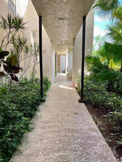 Boca Raton photo 3