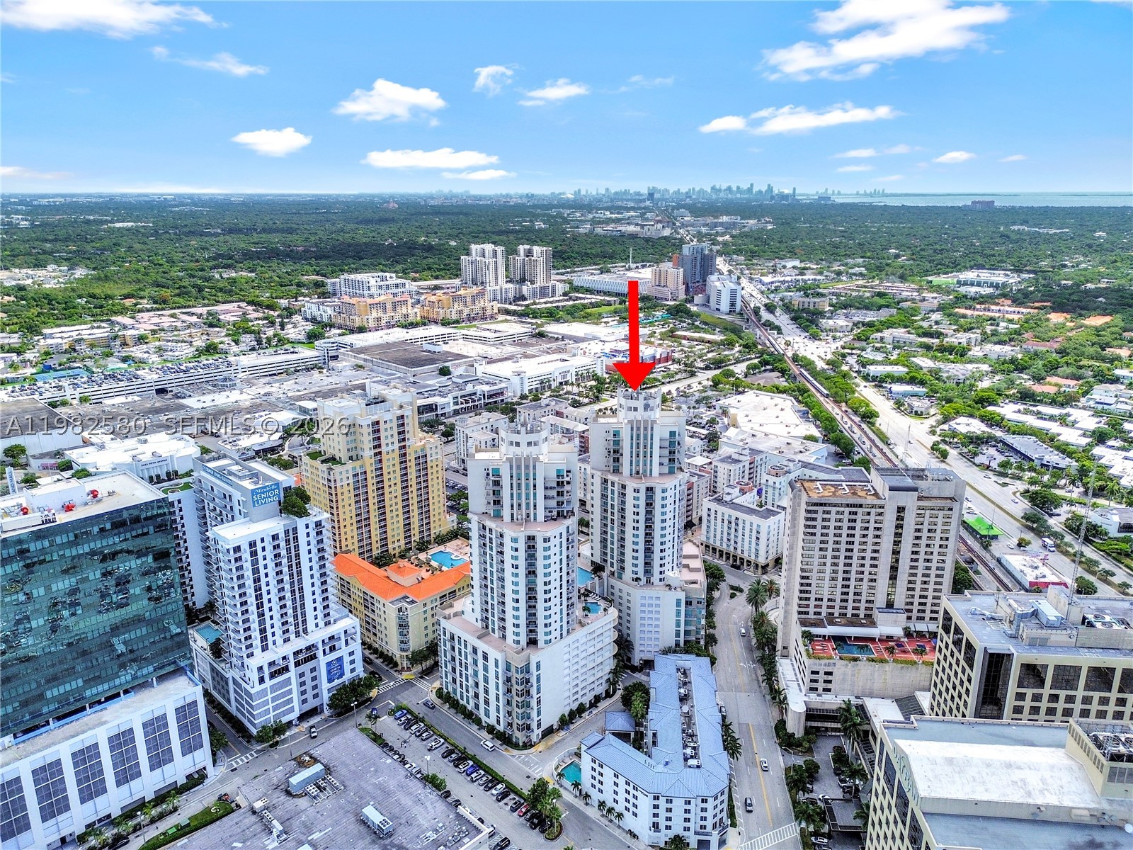 Miami photo 3