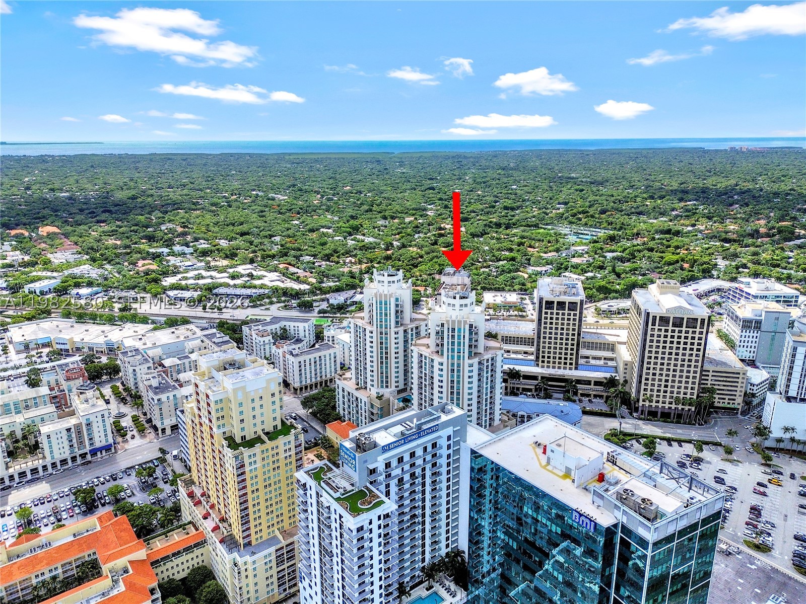 Miami photo 2