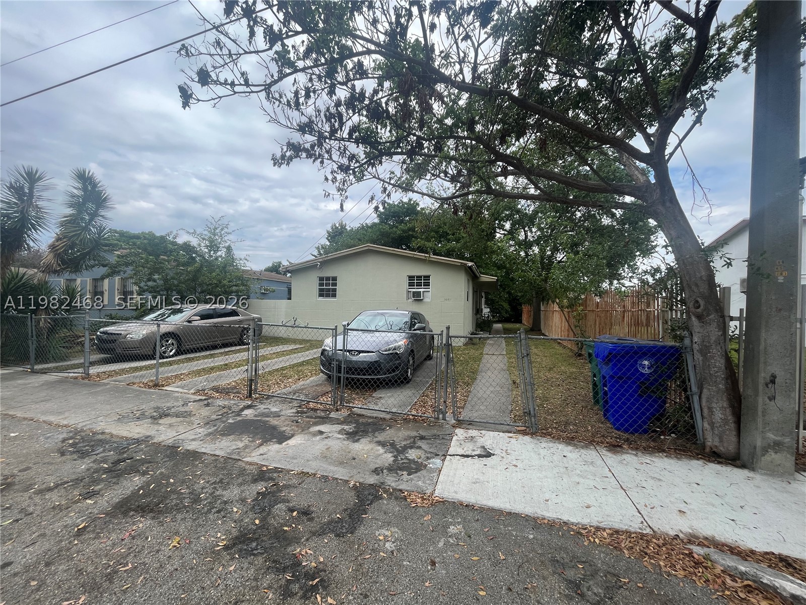 Miami photo 2