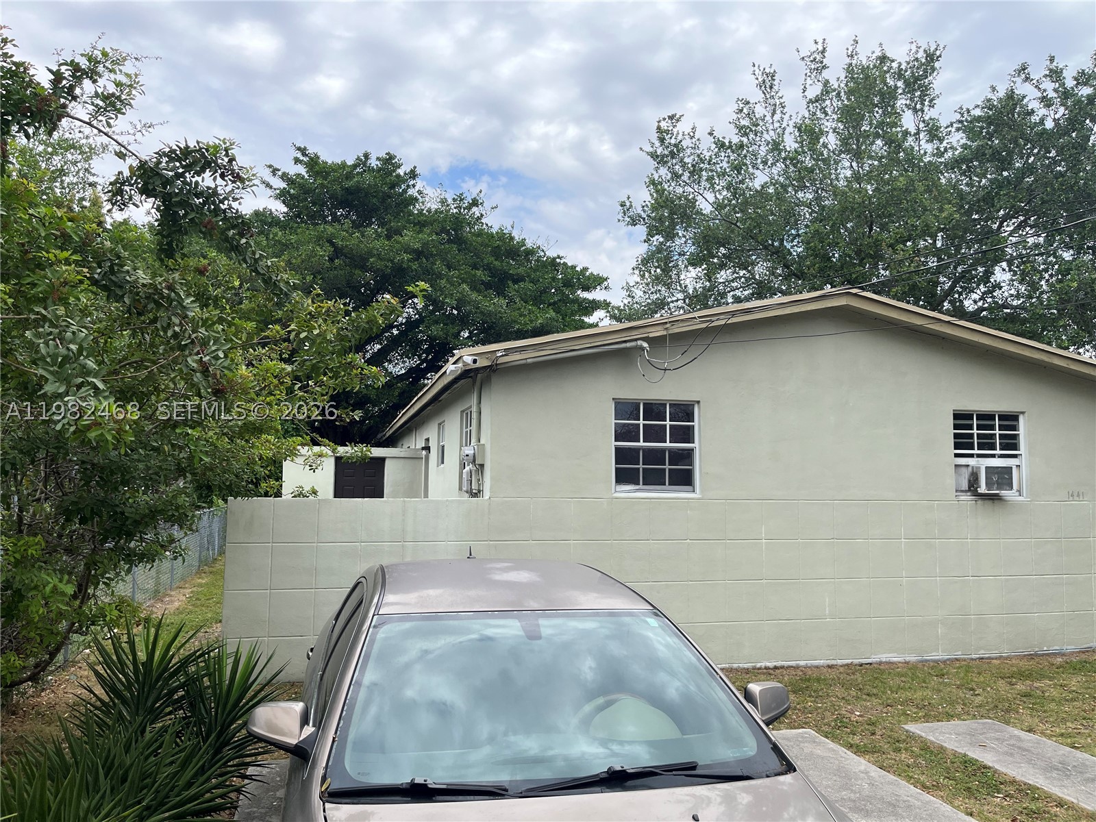 Miami photo 3