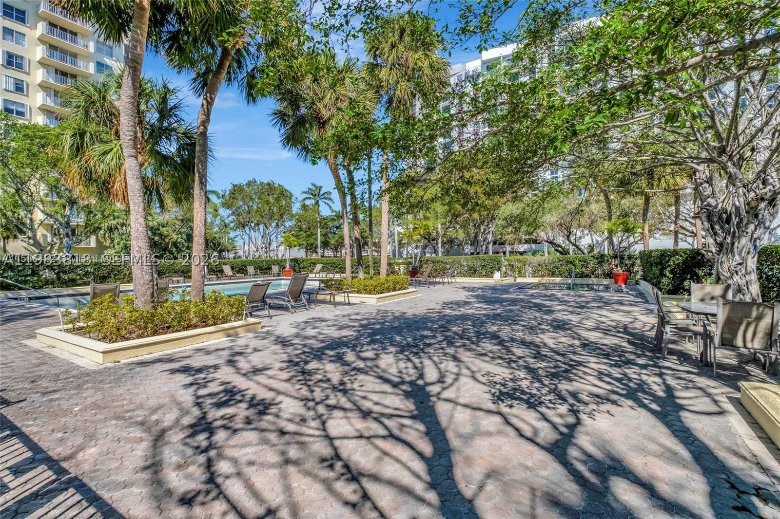 Miami photo 5