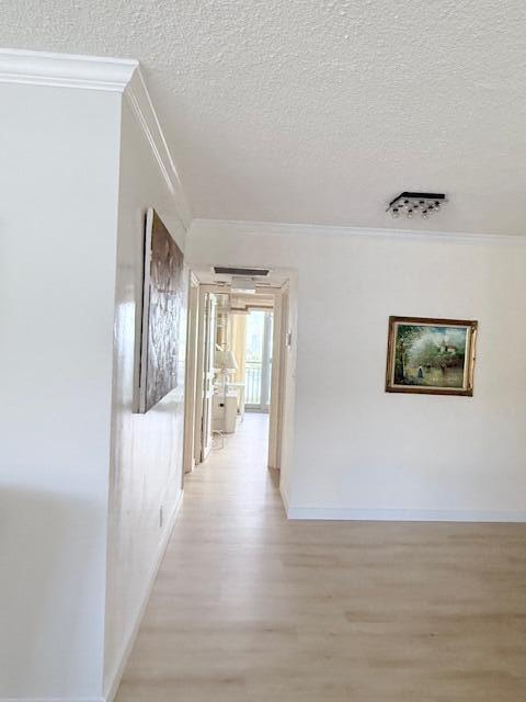 Boca Raton photo 4