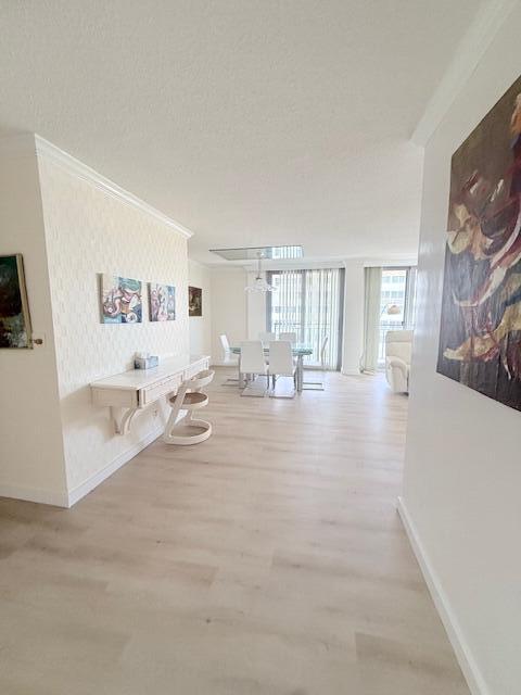 Boca Raton photo 5