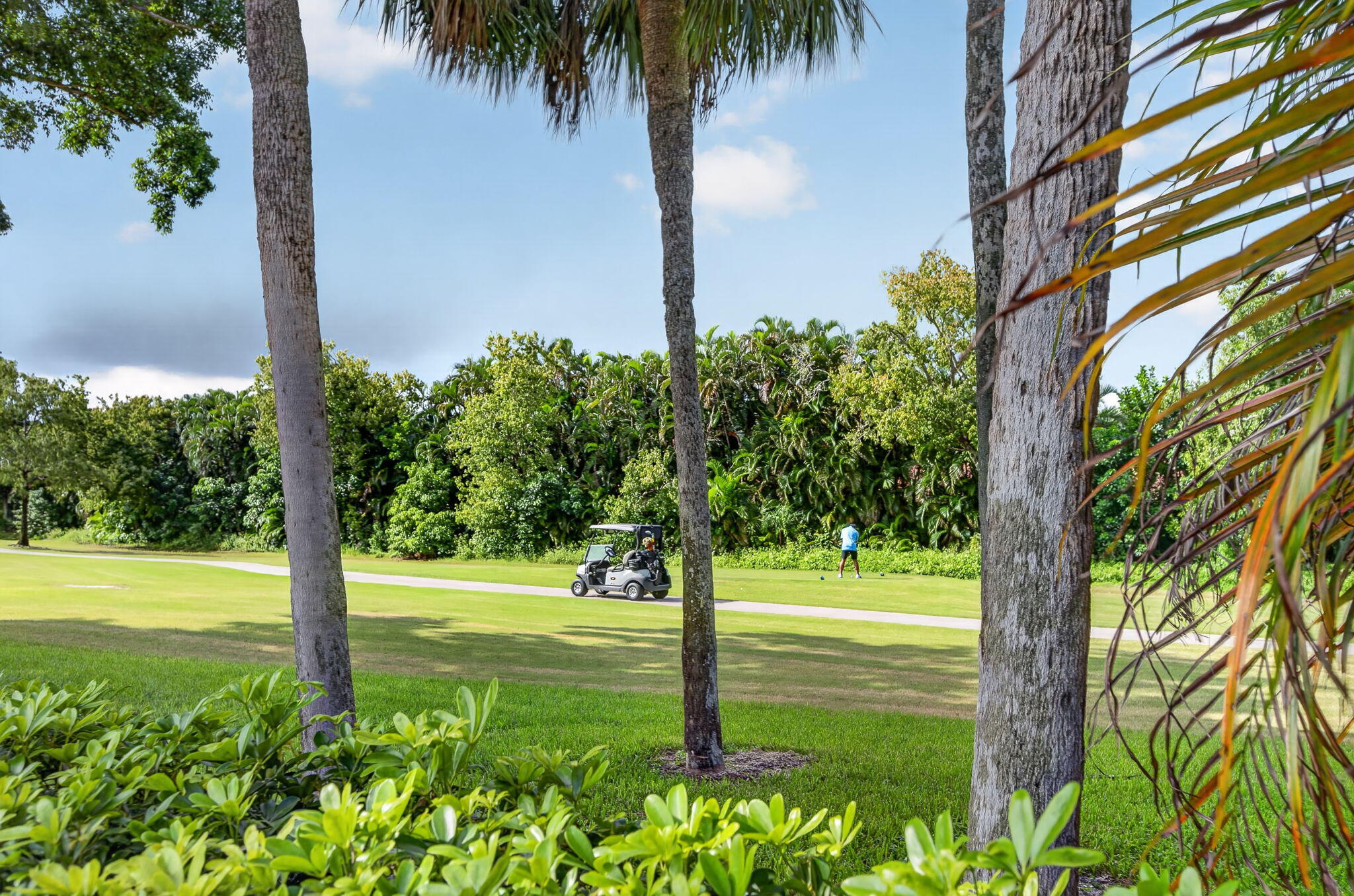 Boca Raton photo 3