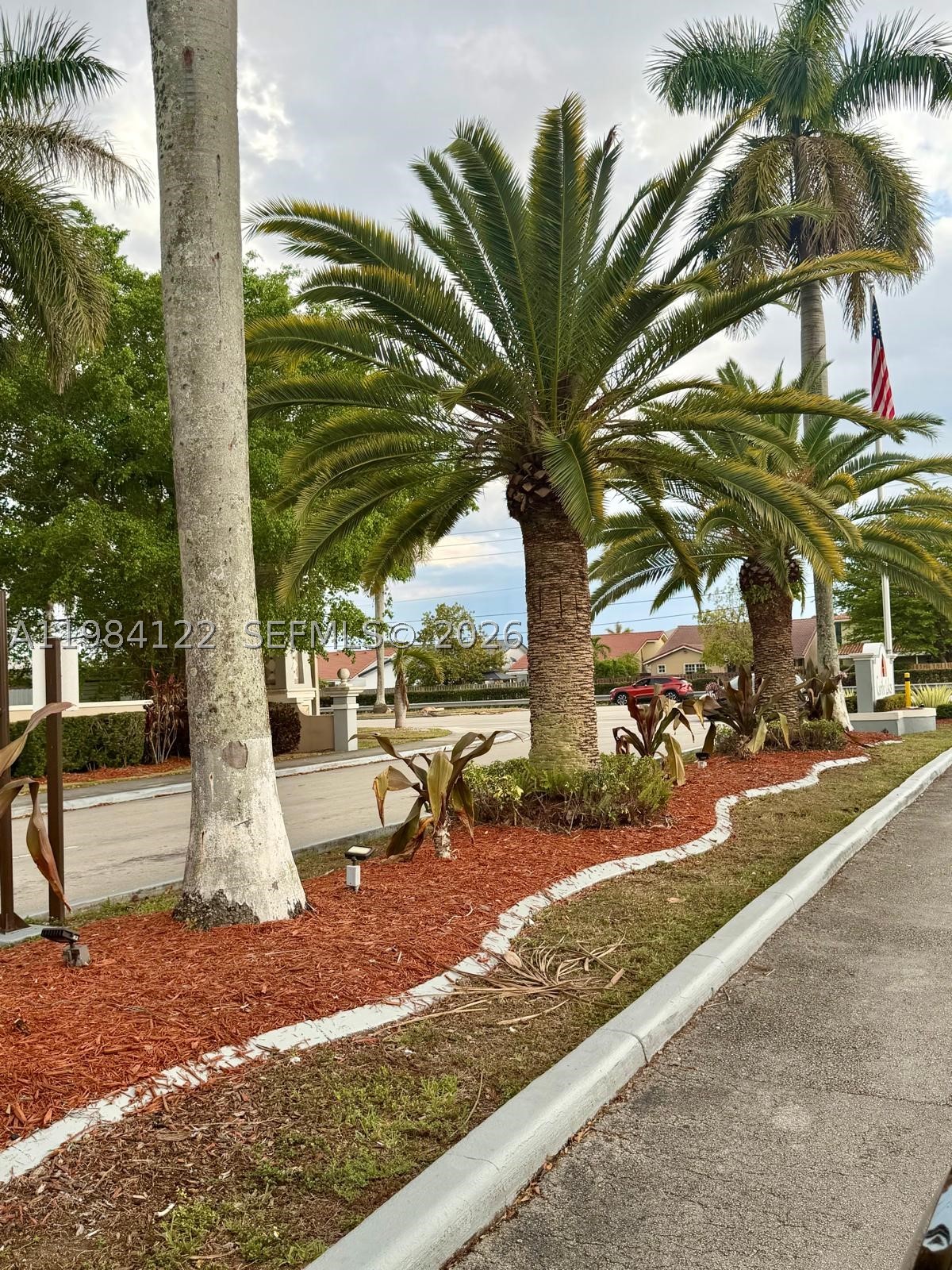 Miami photo 3