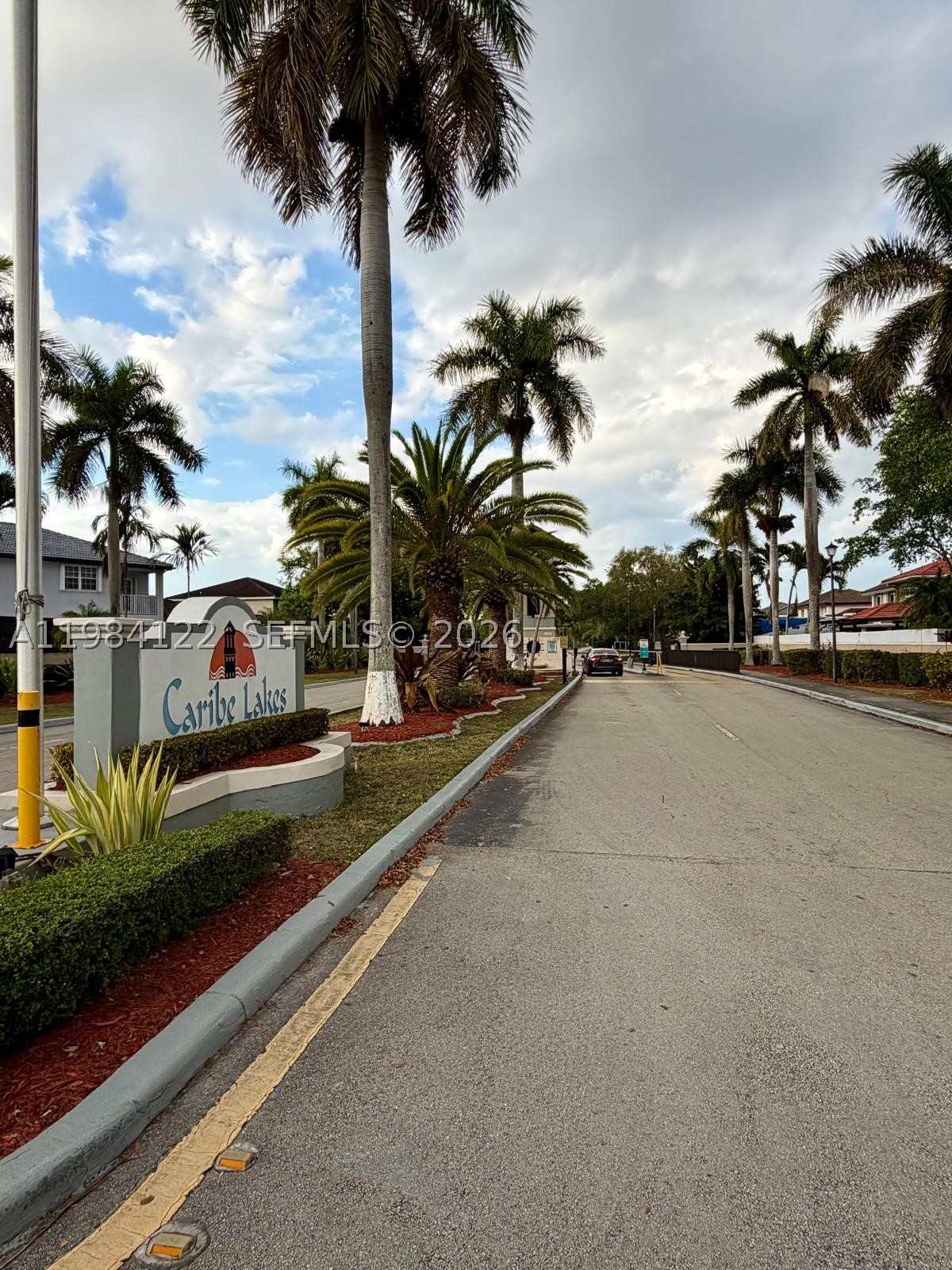 Miami photo 4